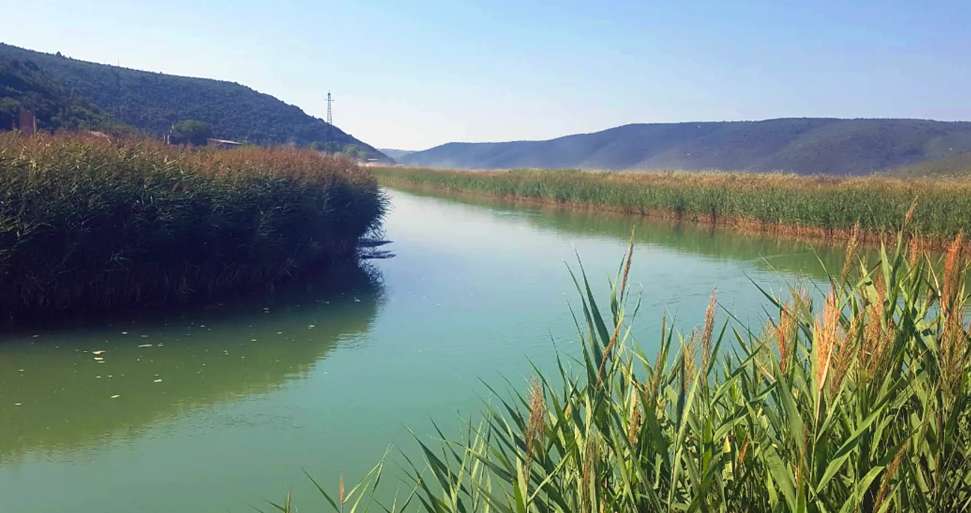 Raša estuary — the calm green-banked river mouth feeding into the Adriatic.