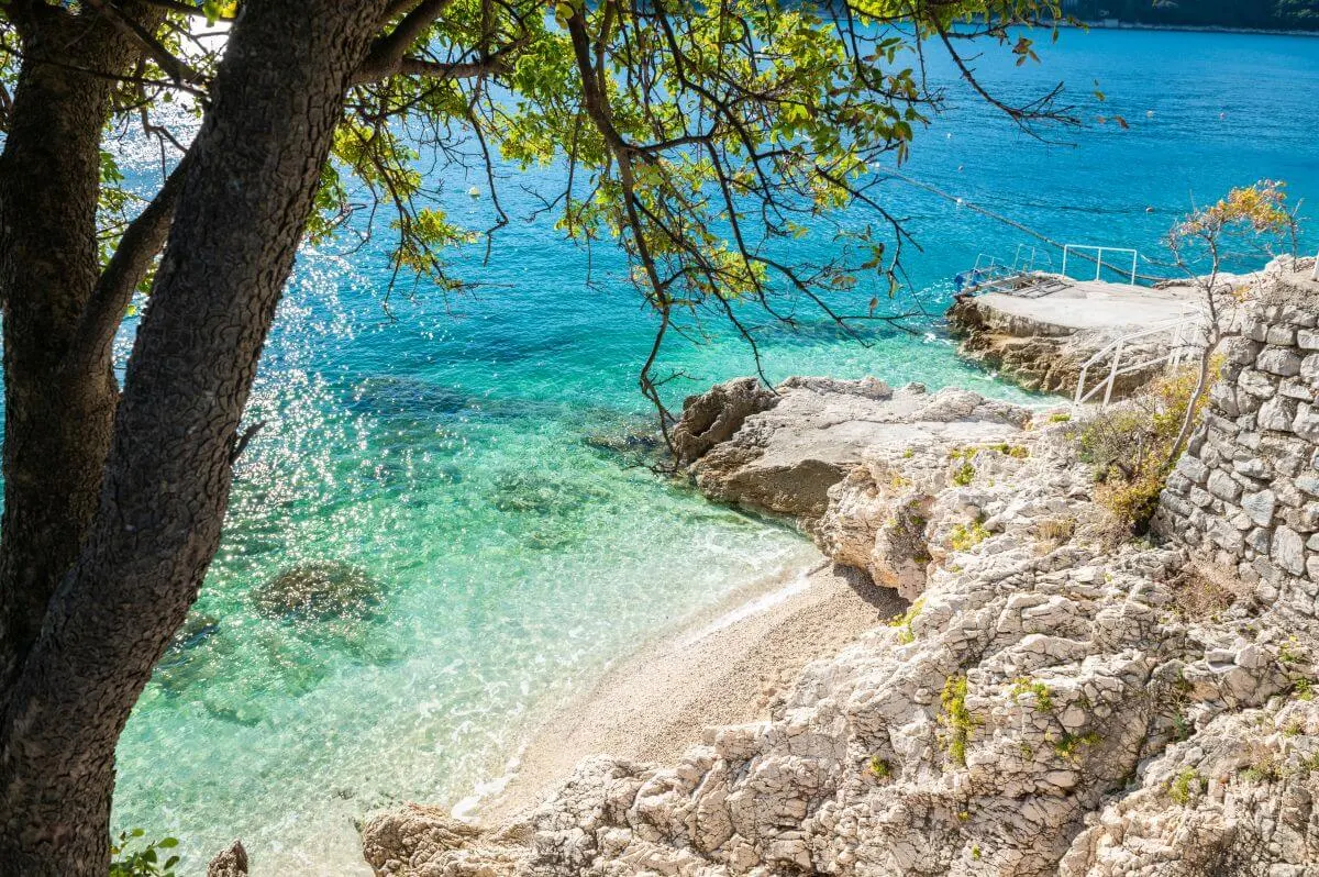 Small cove on the Rabac coast — turquoise water through pine branches.